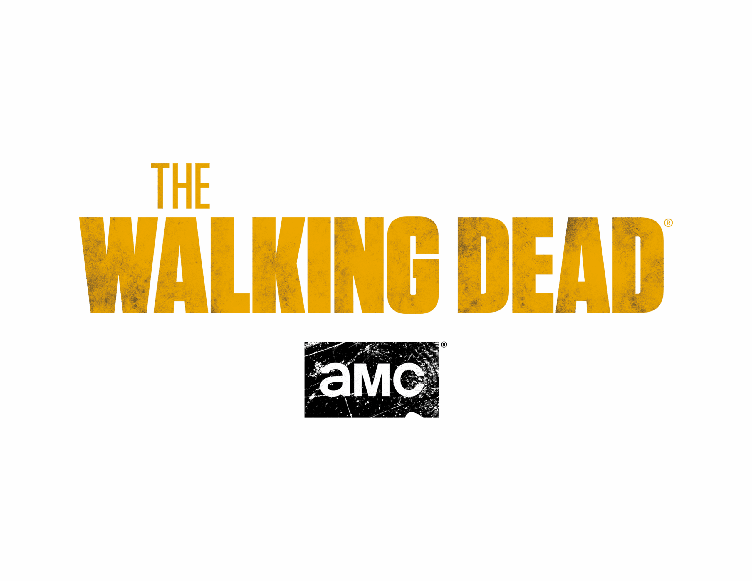 TWD_ HORIZONTAL_w color_LOGO_BLK